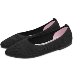 Eco Ballerinas Pointy 2.0