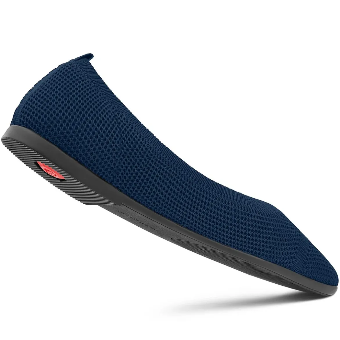 Eco Ballerinas Pointy 2.0