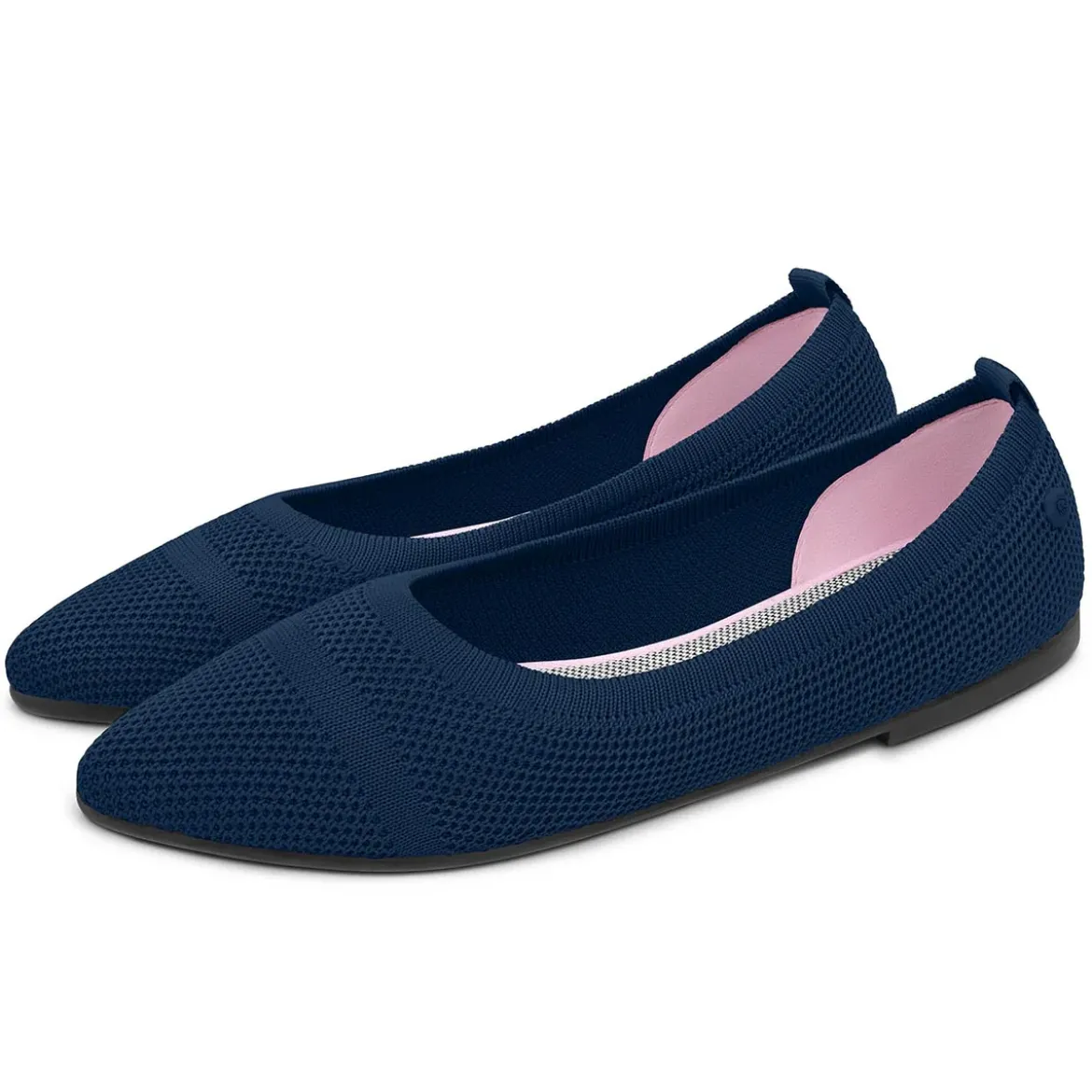 Eco Ballerinas Pointy 2.0