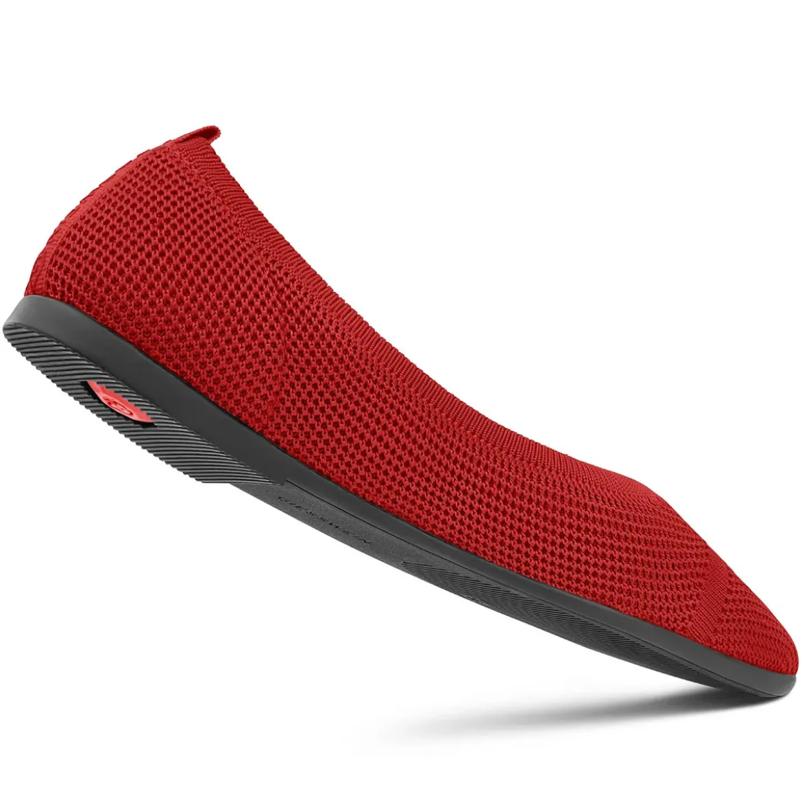 Eco Ballerinas Pointy 2.0