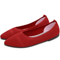 Eco Ballerinas Pointy 2.0
