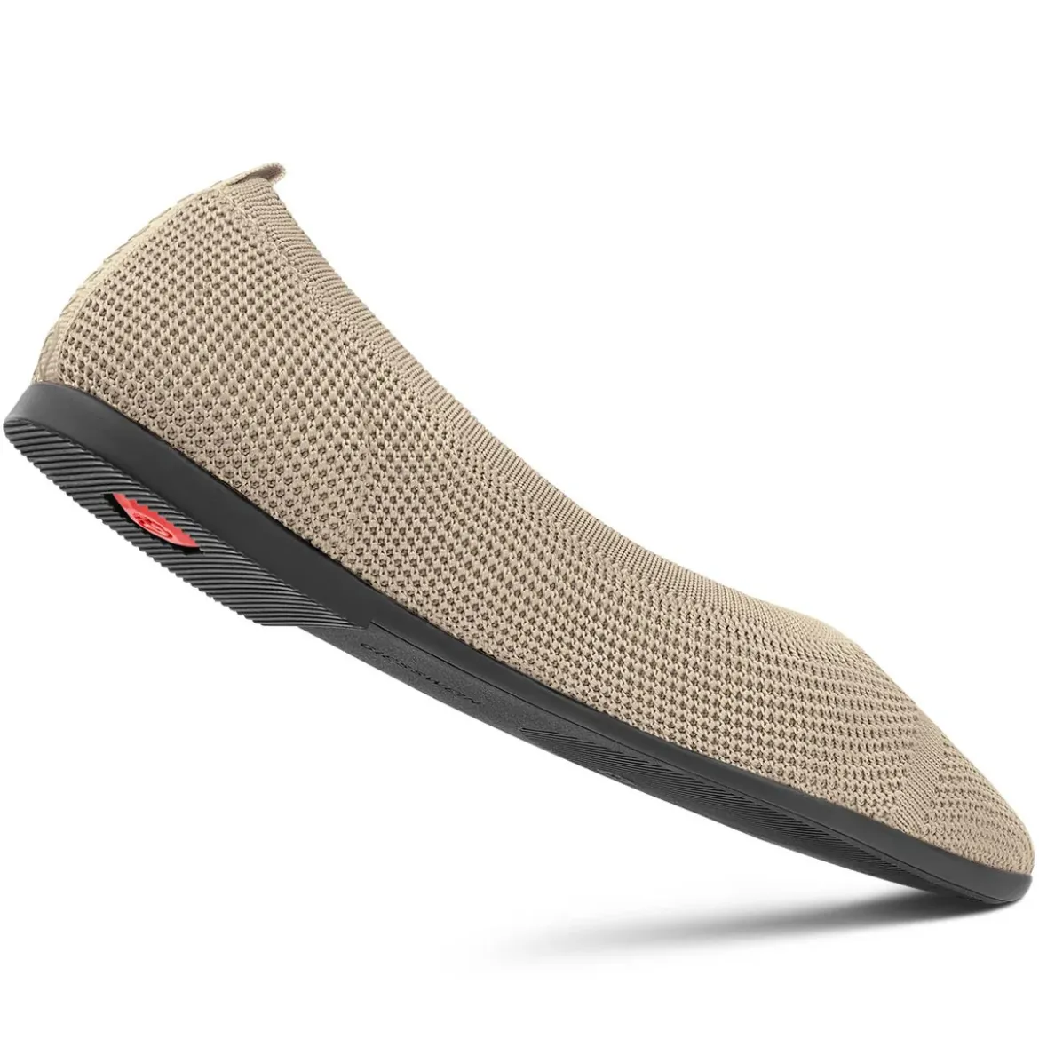 Eco Ballerinas Pointy 2.0
